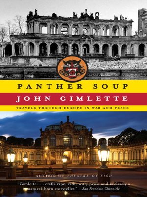 cover image of Panther Soup